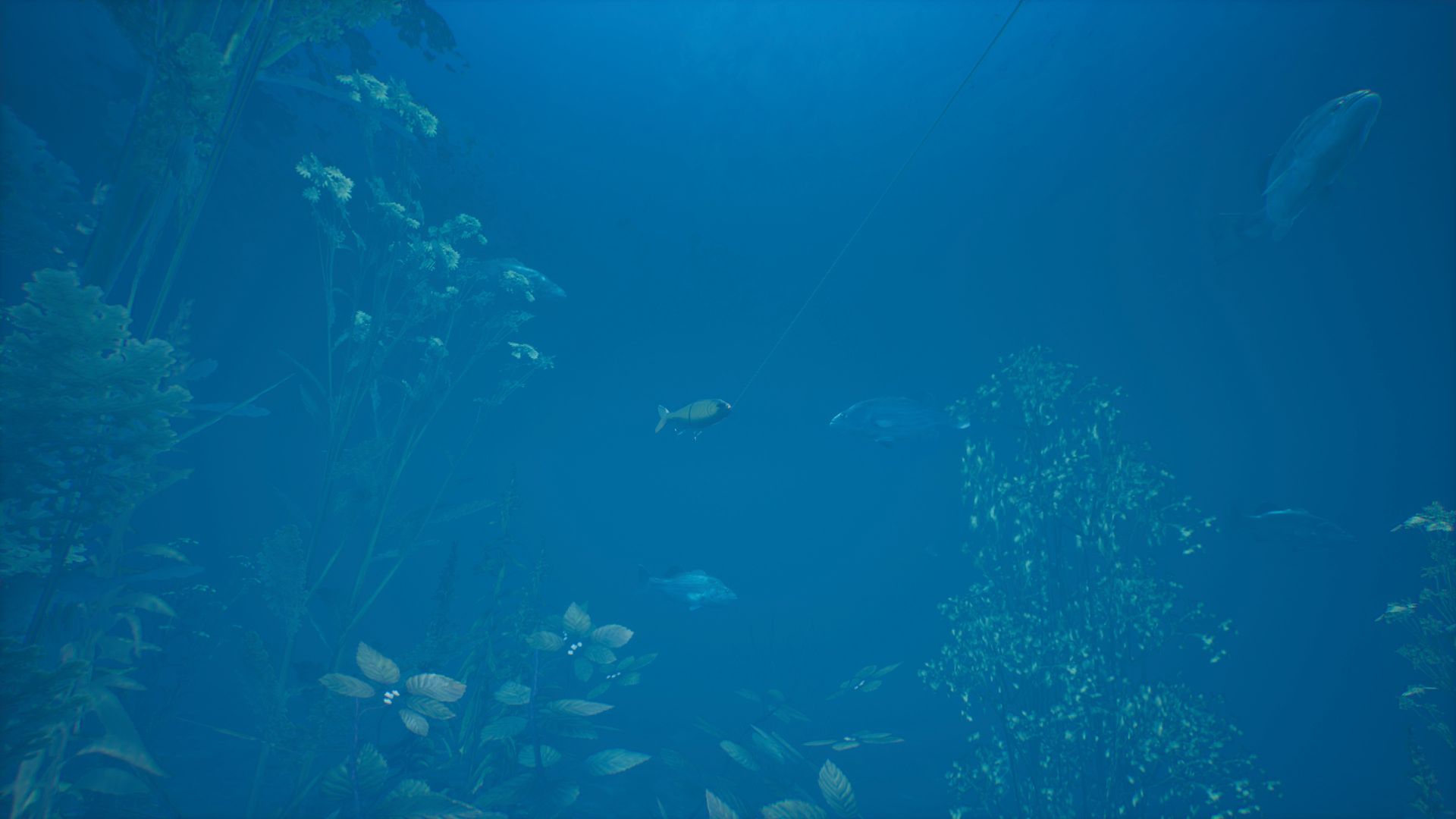 Bassmaster® Fishing: Lake Hartwell - featuredMedia