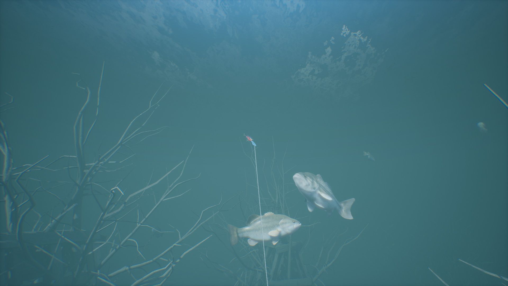 Bassmaster Fishing 2022-qbpg1
