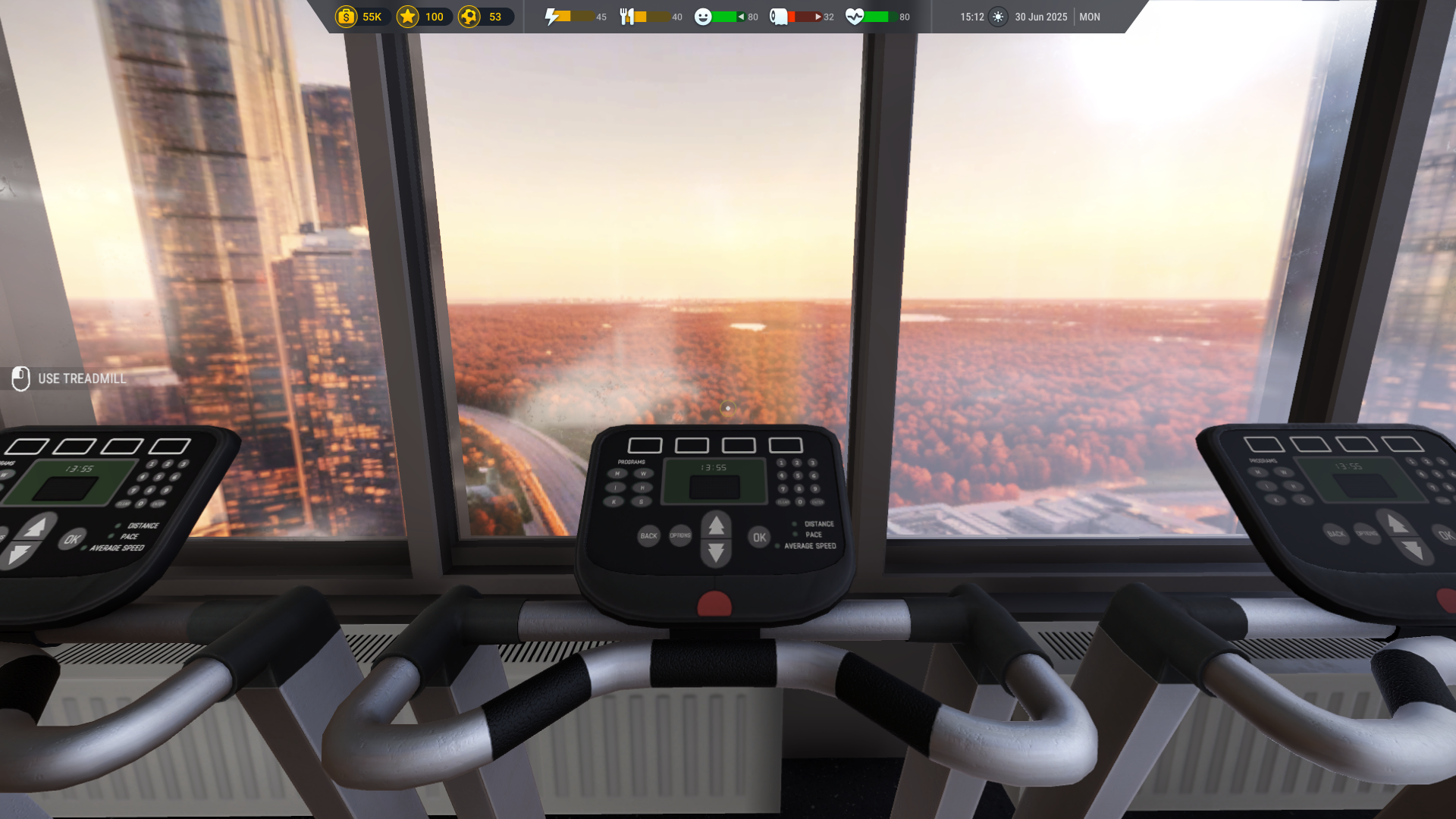 Football Life Simulator-1u08q