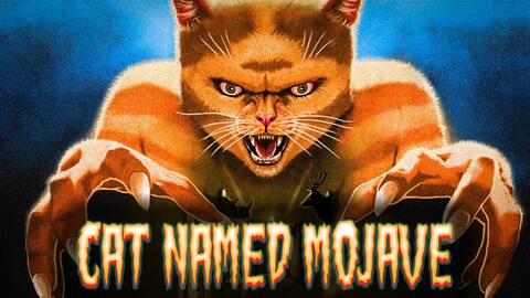 Cat Named Mojave