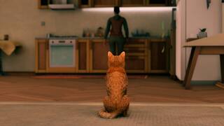 The Cat Did it! screenshot 2