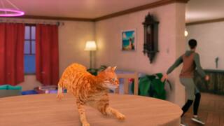 The Cat Did it! screenshot 4