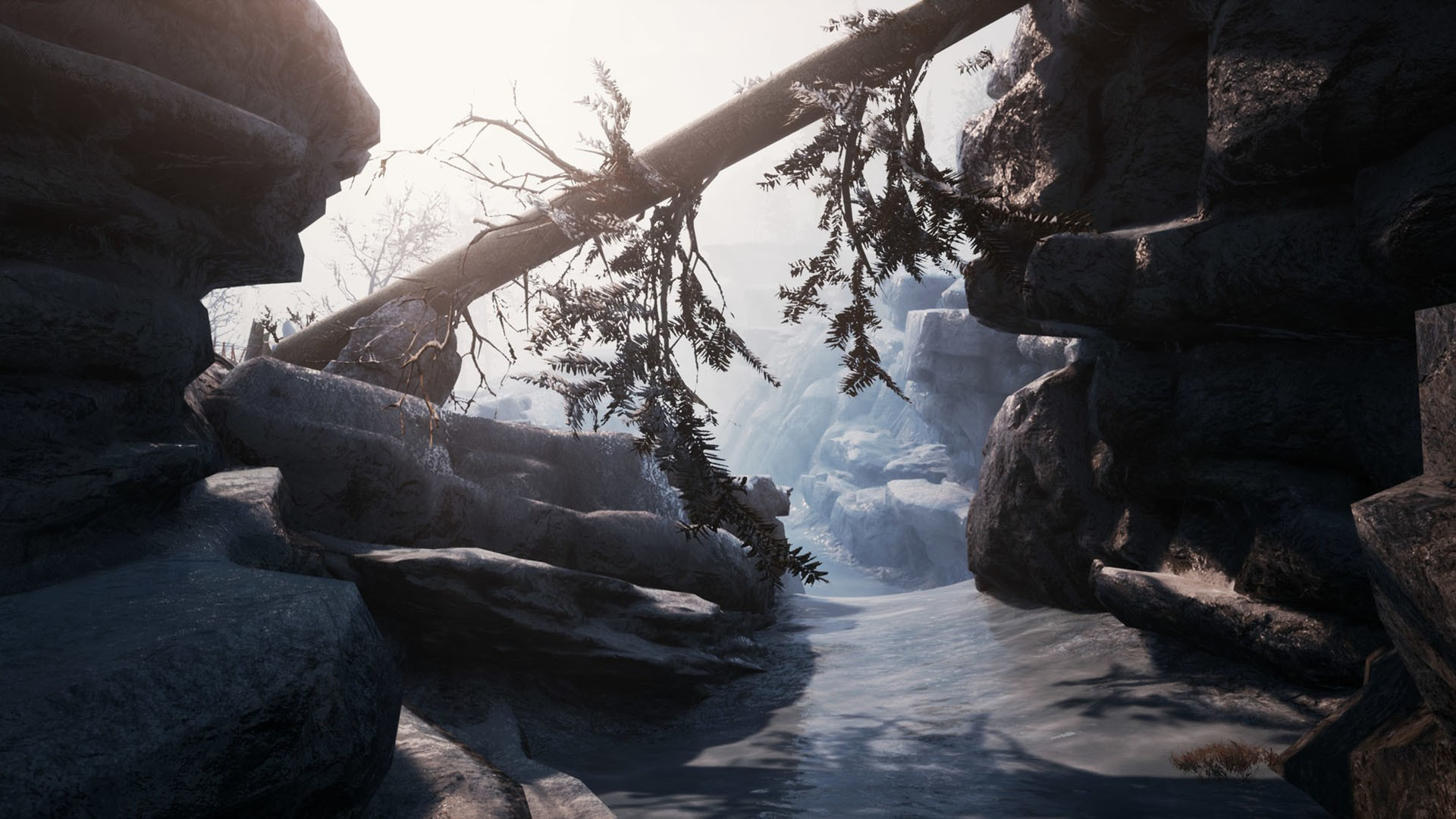 098f6bcd4621d373cade4e832627b4f6