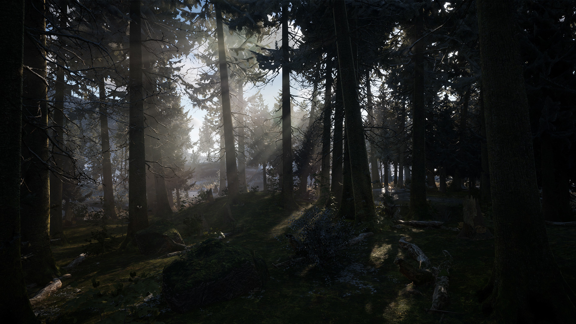 098f6bcd4621d373cade4e832627b4f6