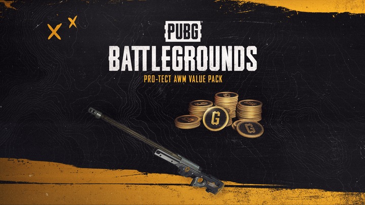 PUBG - Pro-Tect AWM Value Pack (1,050 G-Coin)