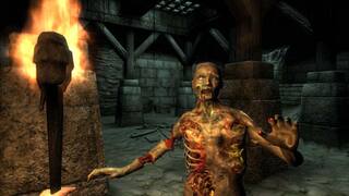 The Elder Scrolls IV: Oblivion® Game of the Year Edition screenshot 4