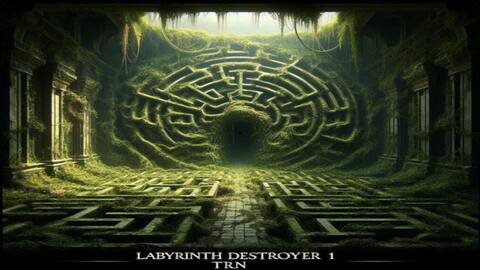 Labyrinth Destroyer 1