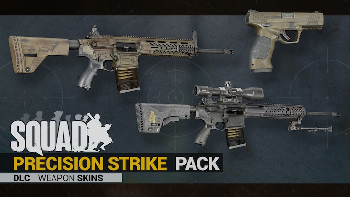 Precision Strike Pack (Weapon Skins)