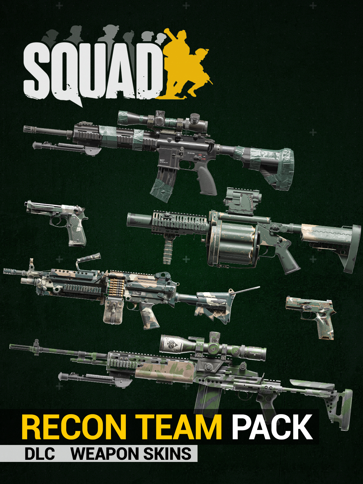 Recon Team Pack (Weapon Skins)