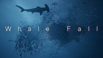 Whale Fall