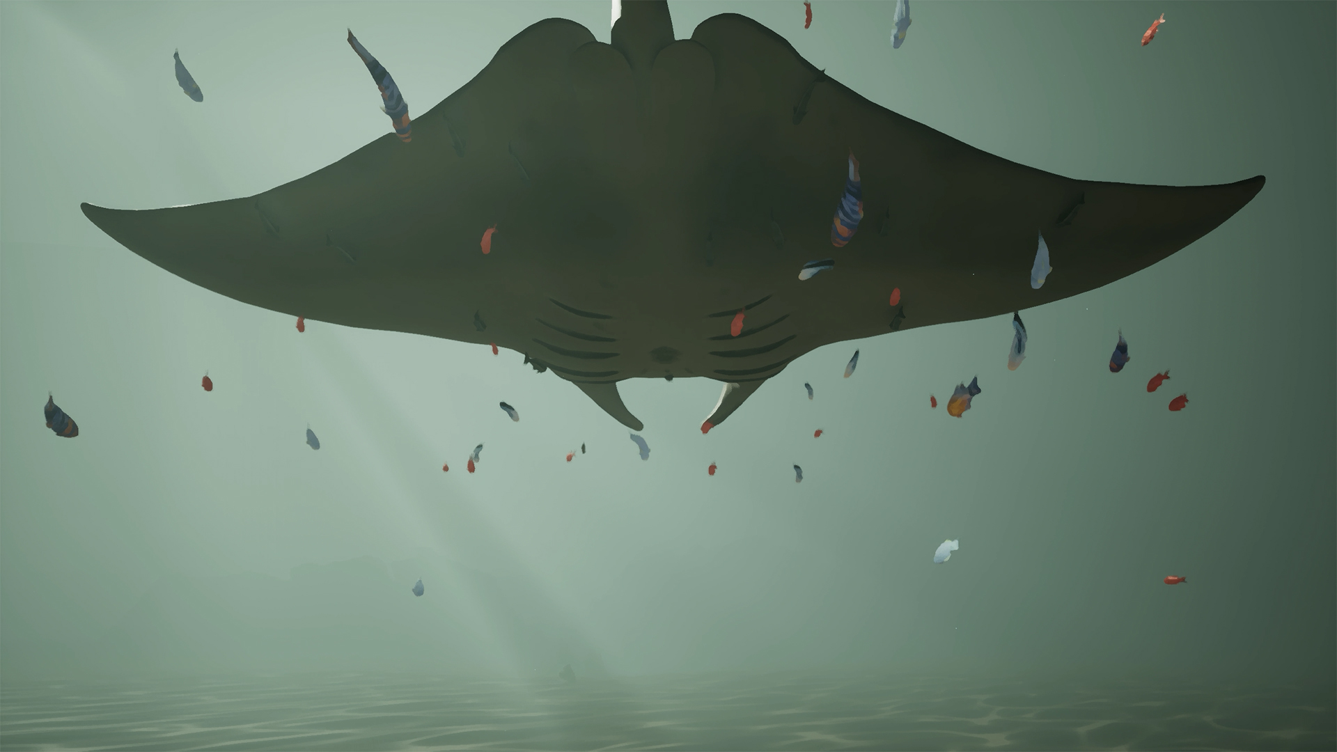 Whale Fall-cwz8r