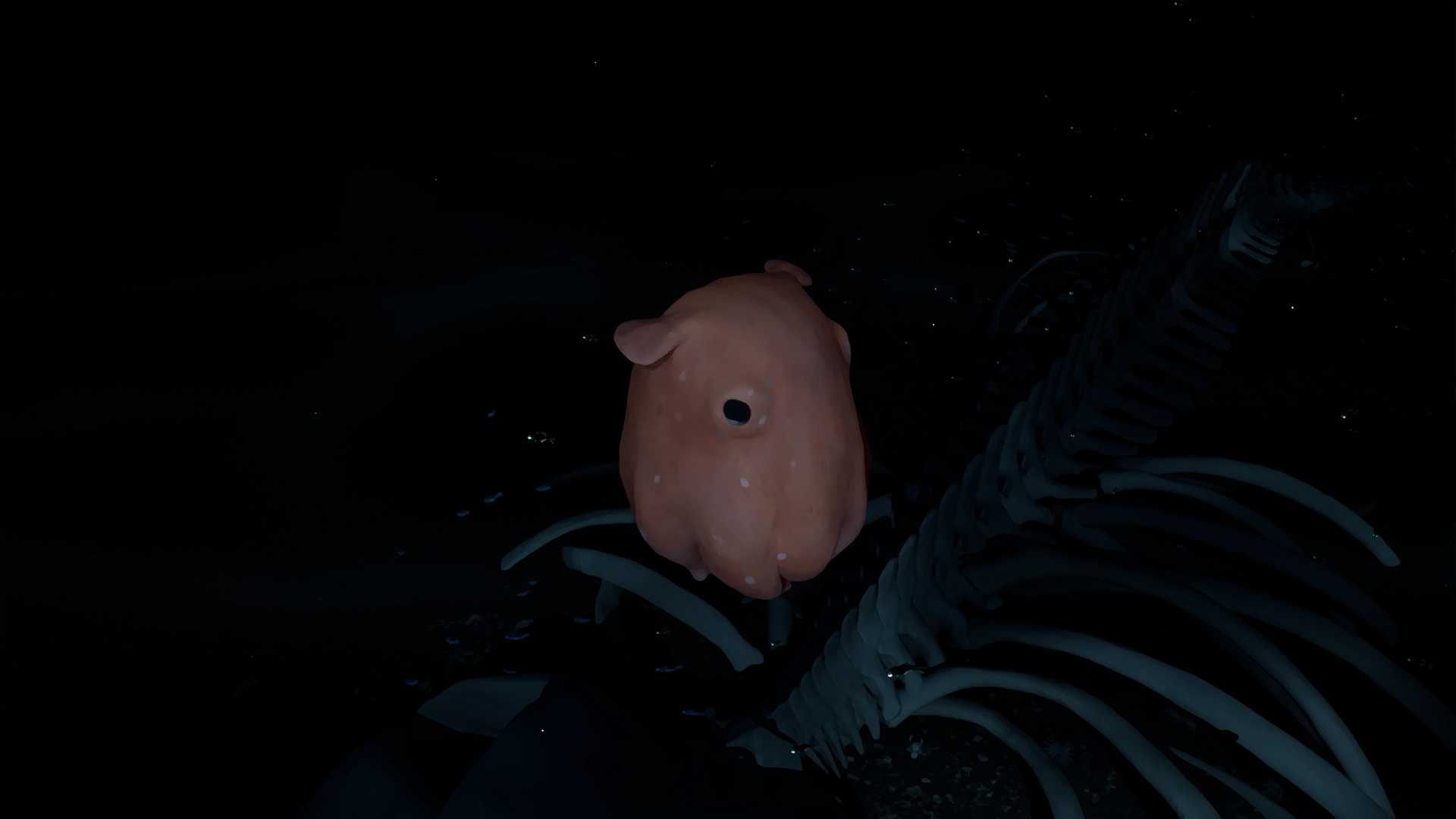 Whale Fall-l47wm