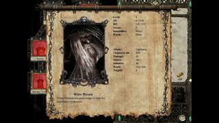 Disciples Rise of the Elves Gold screenshot 4