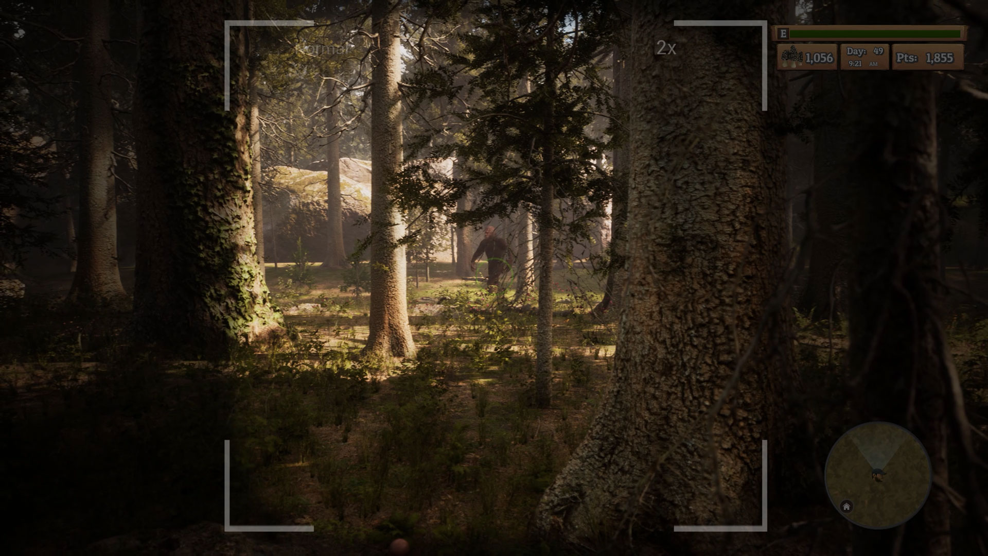 Morels-oyjd3