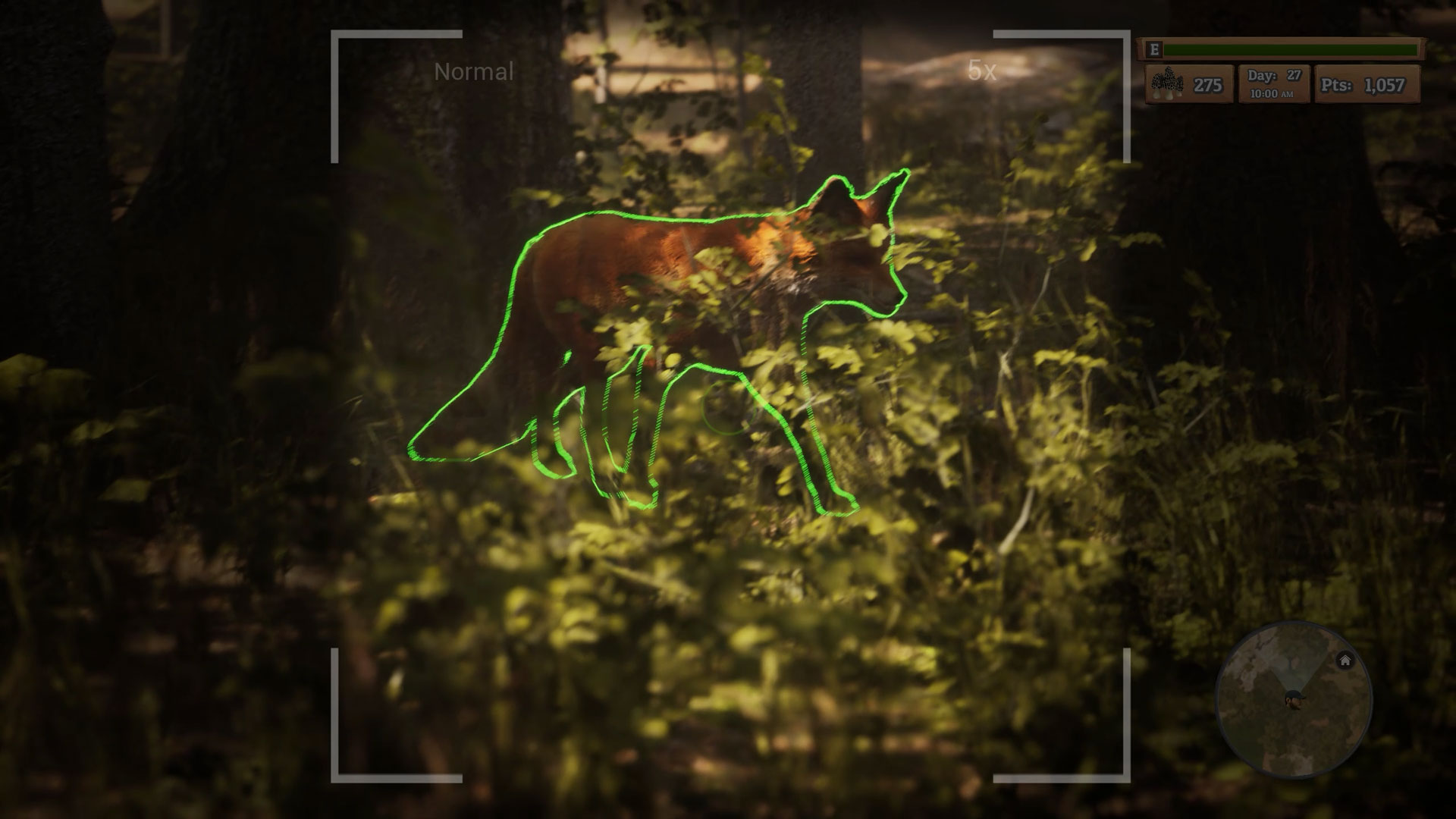 Morels-rux06