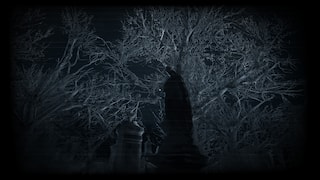 Madhouse Madness screenshot 2