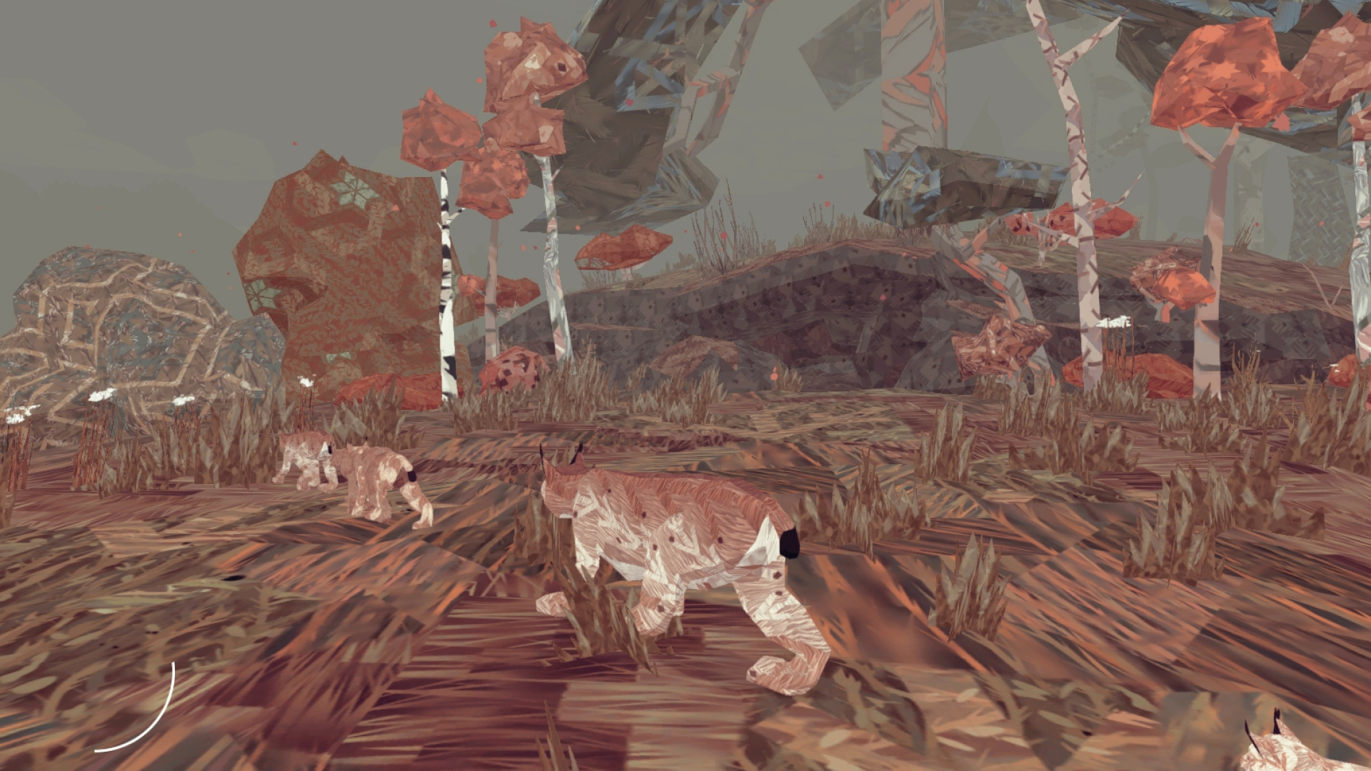 Shelter: A Lynx Adventure-1l7di