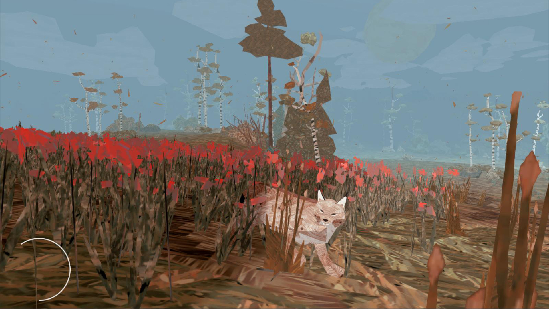 Shelter: A Lynx Adventure-eqhw5