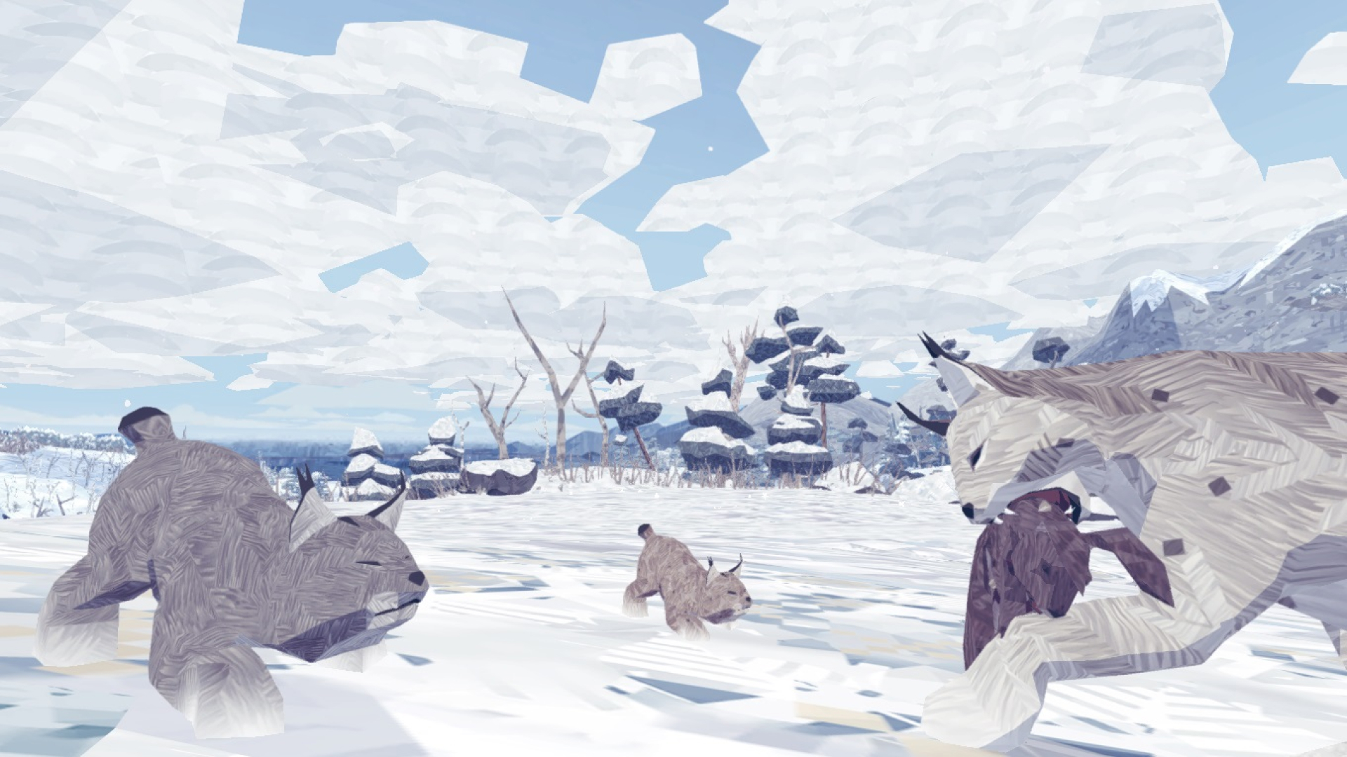 Shelter: A Lynx Adventure-rfct6