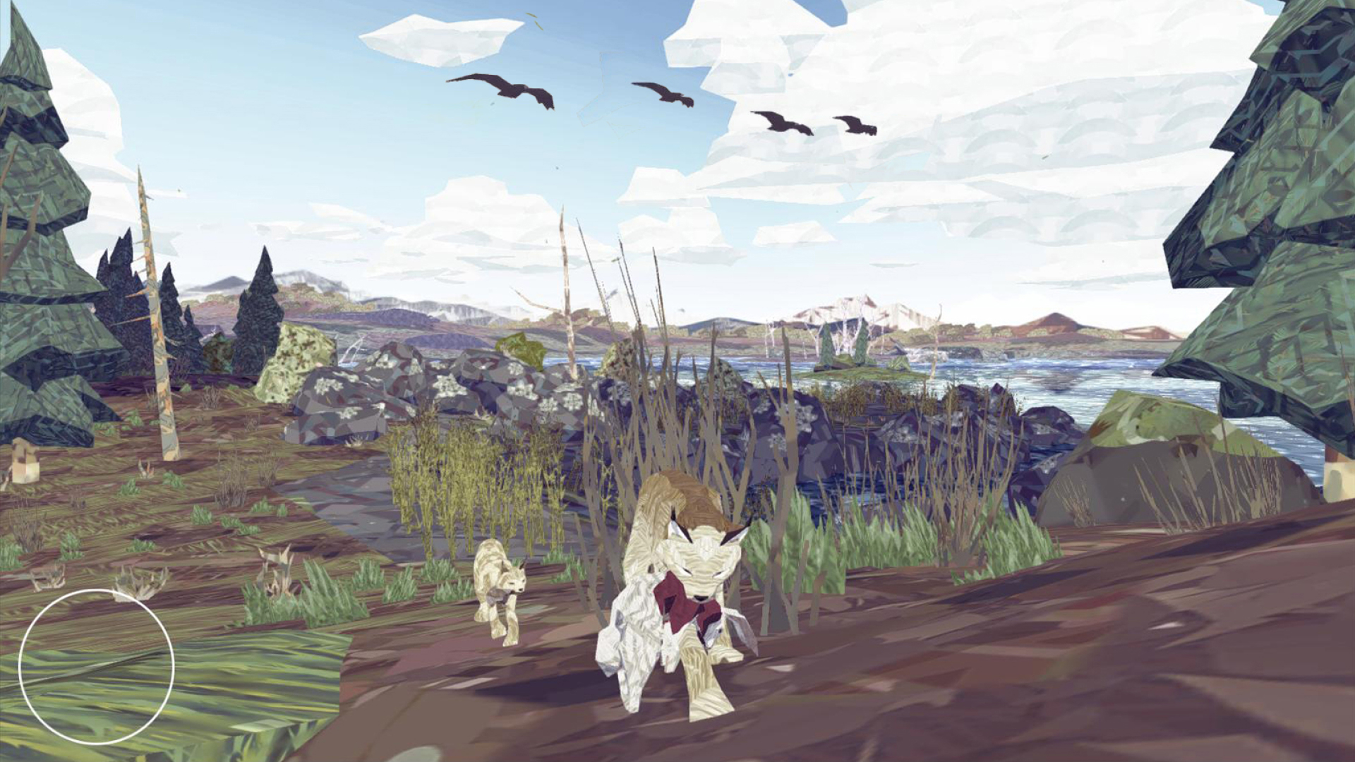 Shelter: A Lynx Adventure-xmhhs