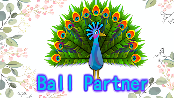 Ball Partner