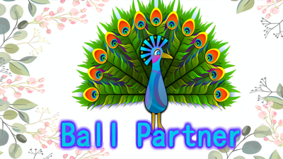 Ball Partner
