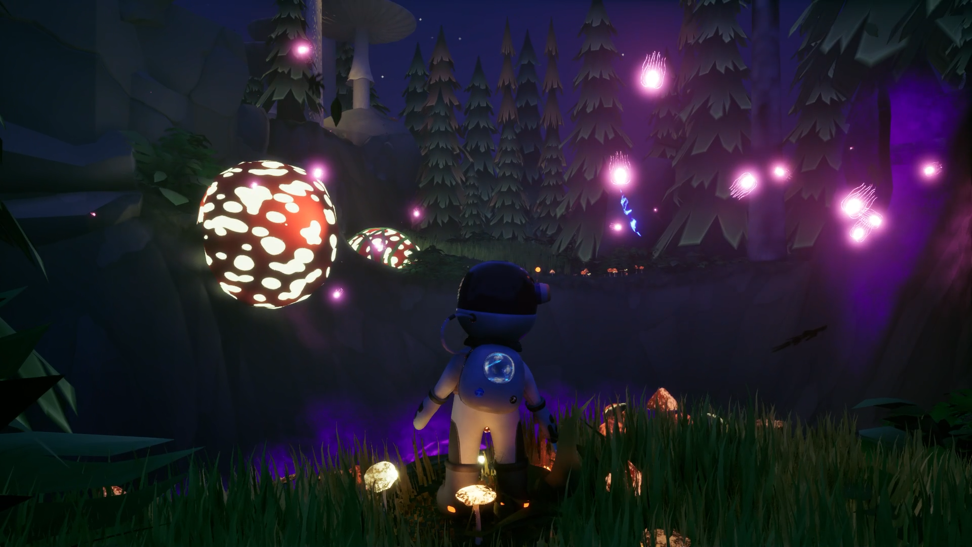 Shroom Bound-svkl6