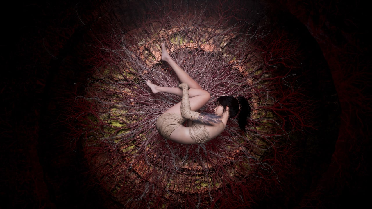Carousel slide 2