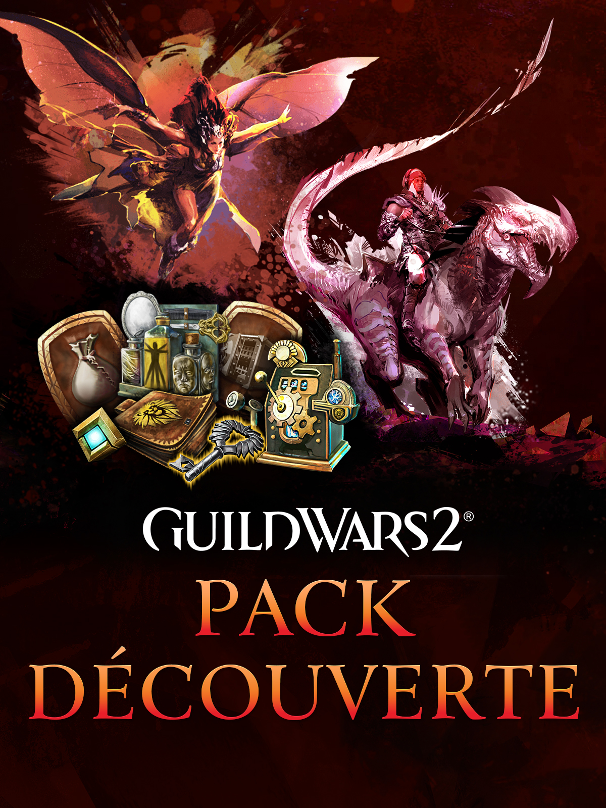 Guild Wars 2® Starter Pack