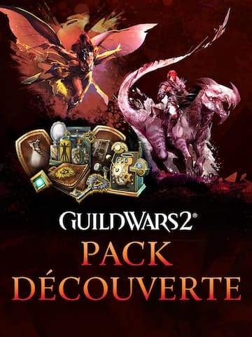 Guild Wars 2® Starter Pack