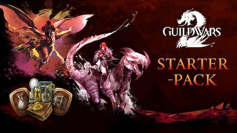 Guild Wars 2® Starter-Pack