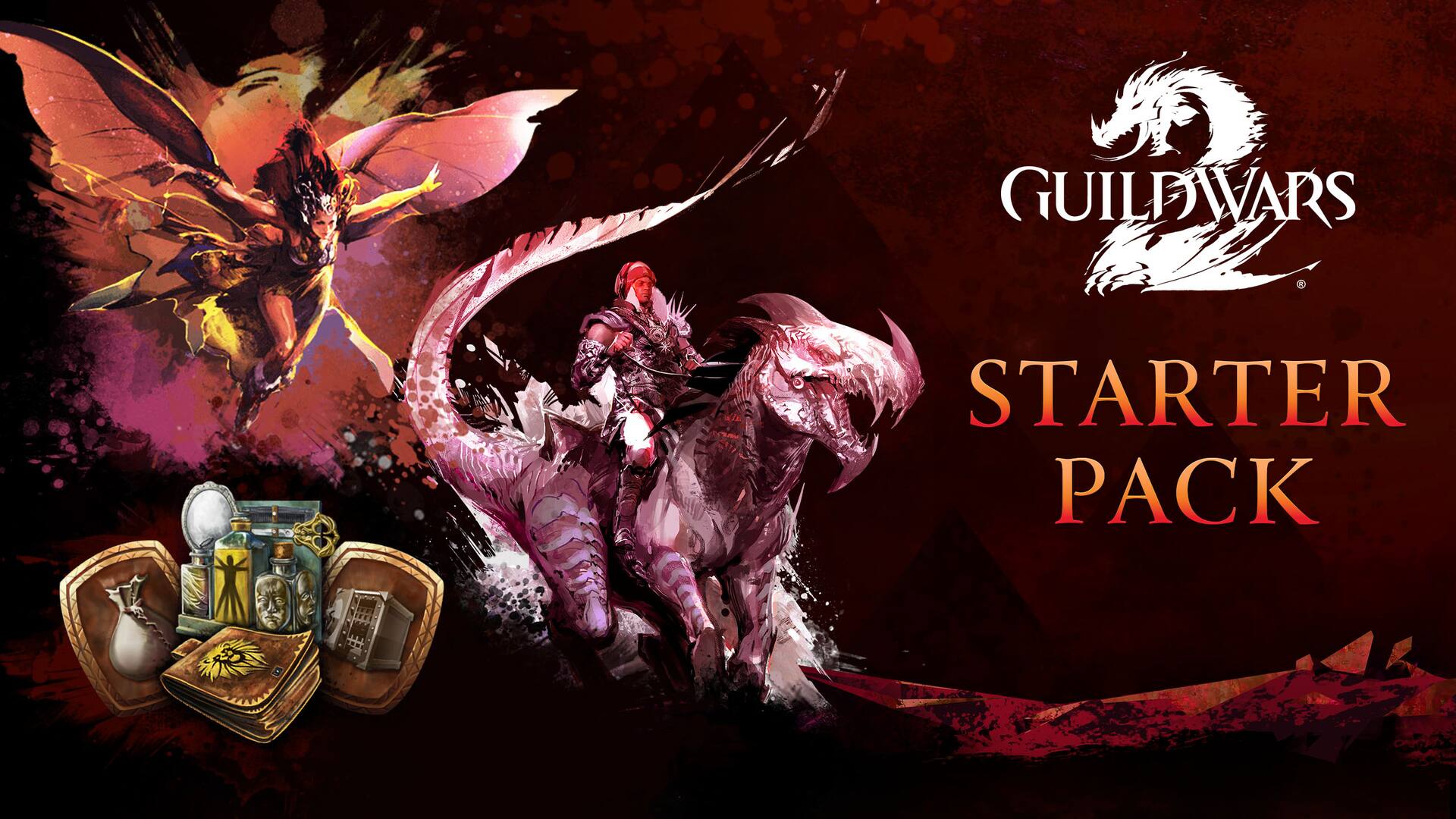 Guild Wars 2® Starter Pack