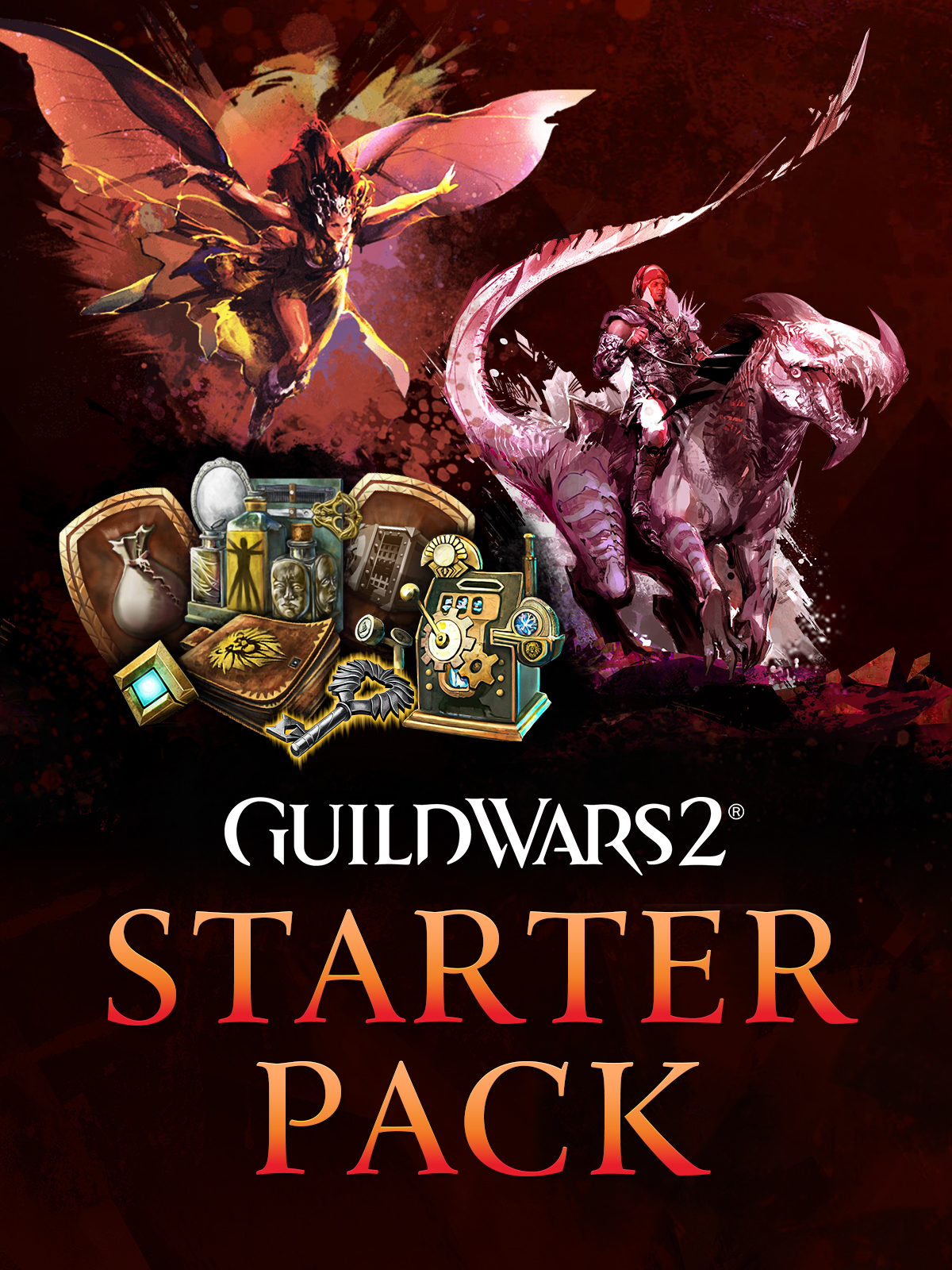 Guild Wars 2® Starter Pack
