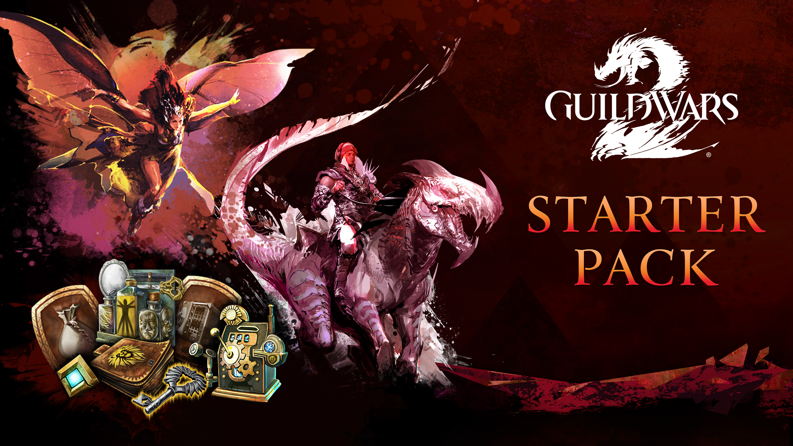 Guild Wars 2® Starter Pack