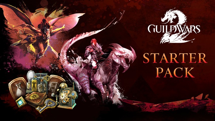 Guild Wars 2® Starter Pack