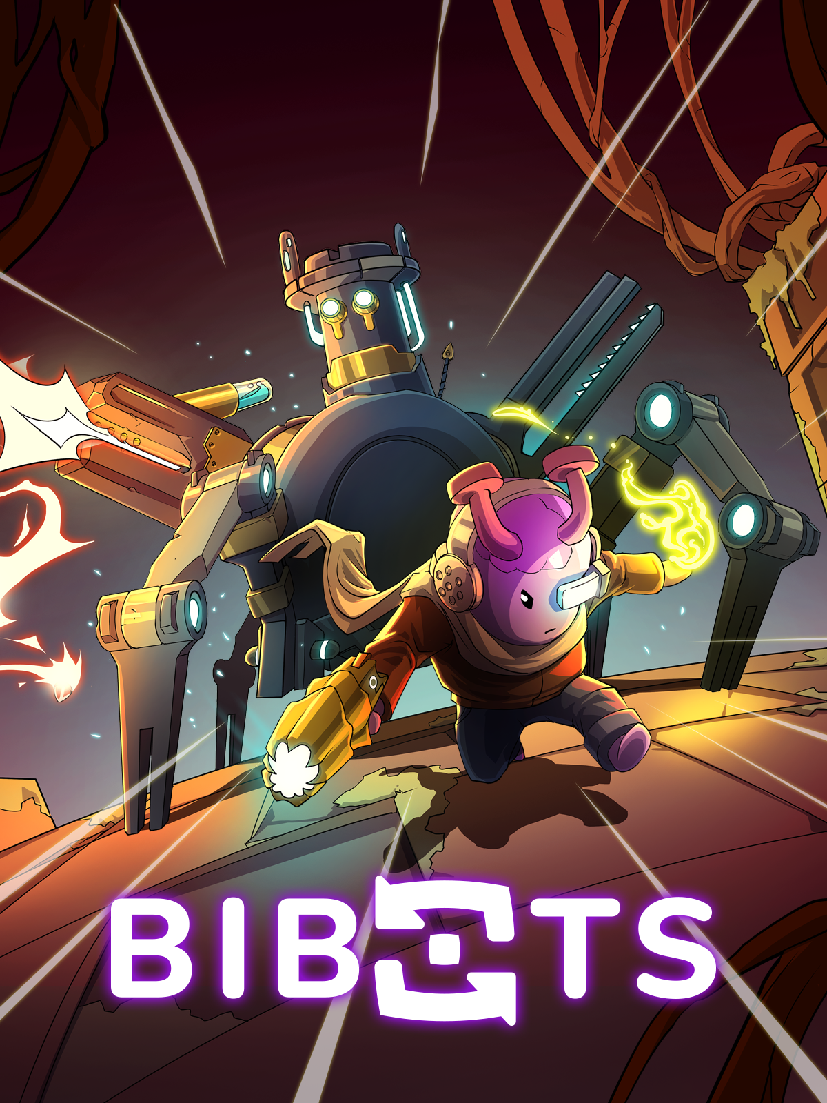 Bibots cover image