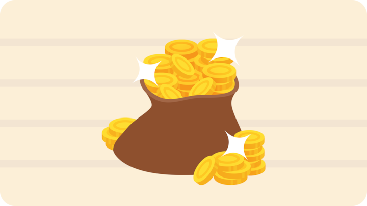 Bag of Coins