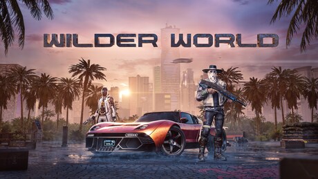 Купить ключ дешево Wilder World