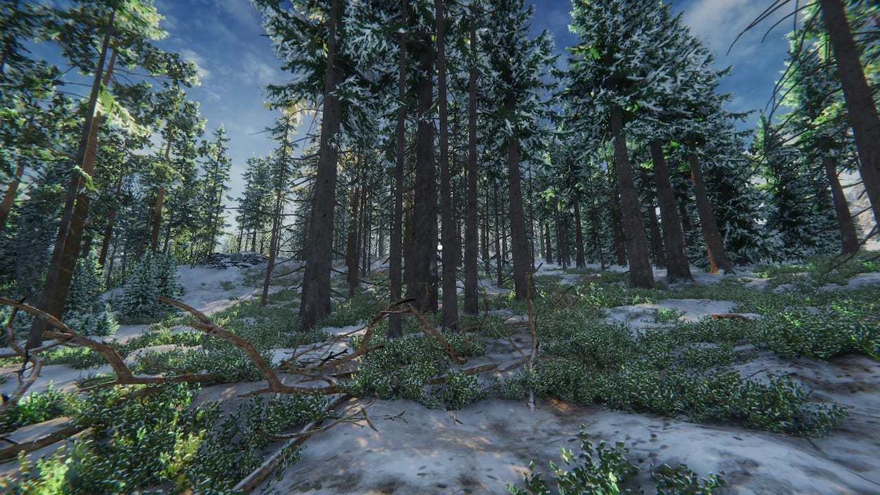 LONELINESS SIMULATOR IN THE RUSSIAN VILLAGE-1nym4