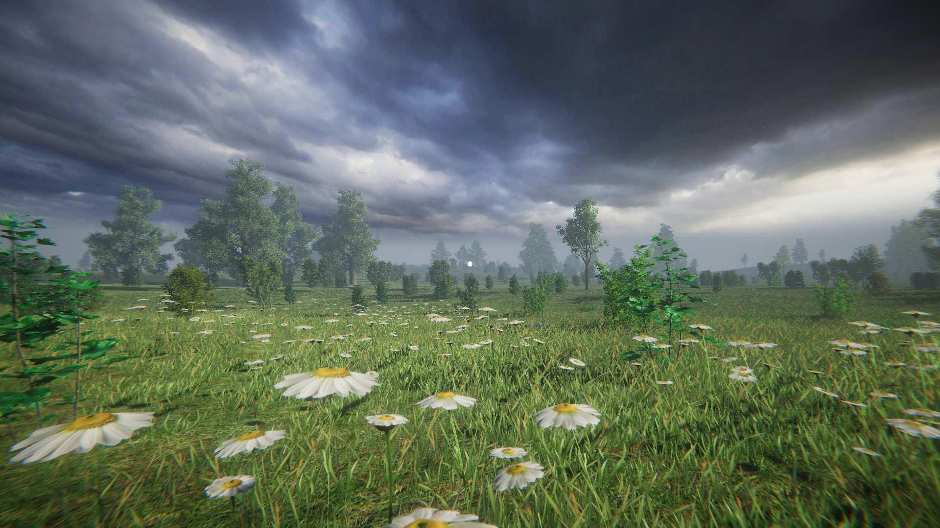 LONELINESS SIMULATOR IN THE RUSSIAN VILLAGE-rtash