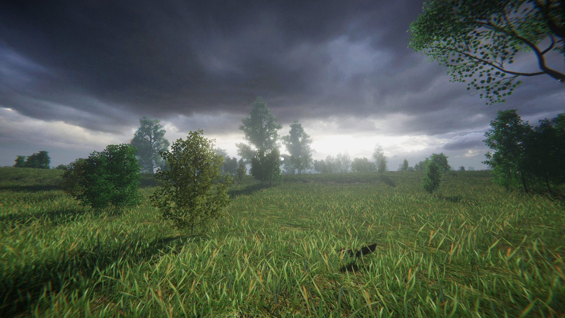LONELINESS SIMULATOR IN THE RUSSIAN VILLAGE-vvcn5
