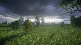 LONELINESS SIMULATOR IN THE RUSSIAN VILLAGE screenshot 4