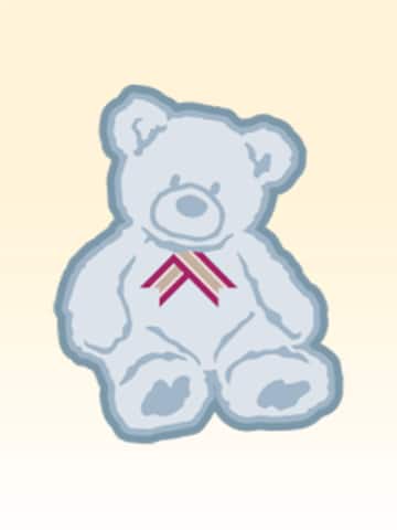 Teddy Bear x30