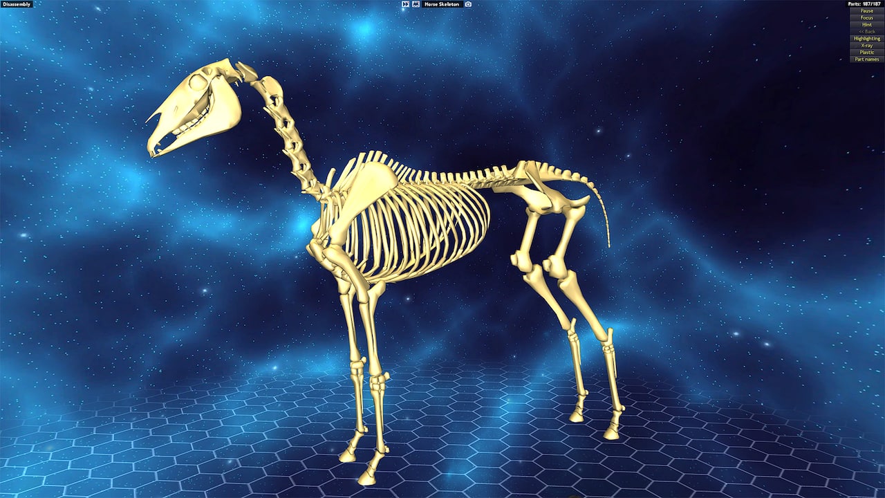 Carousel slide 9