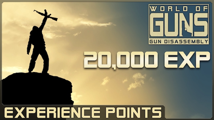 20,000 Experience Points