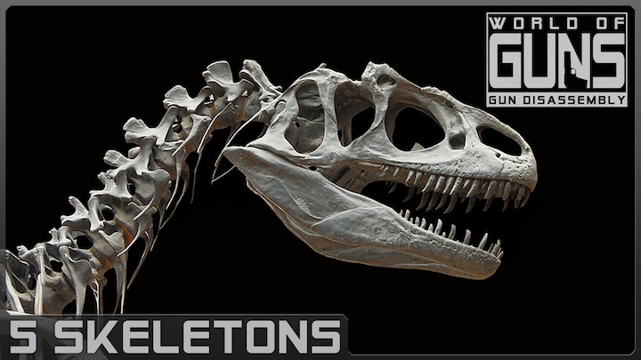 5 Skeletons Pack