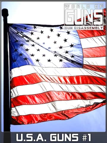 U.S.A. Guns Pack #1