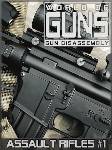Assault Rifles Pack #1