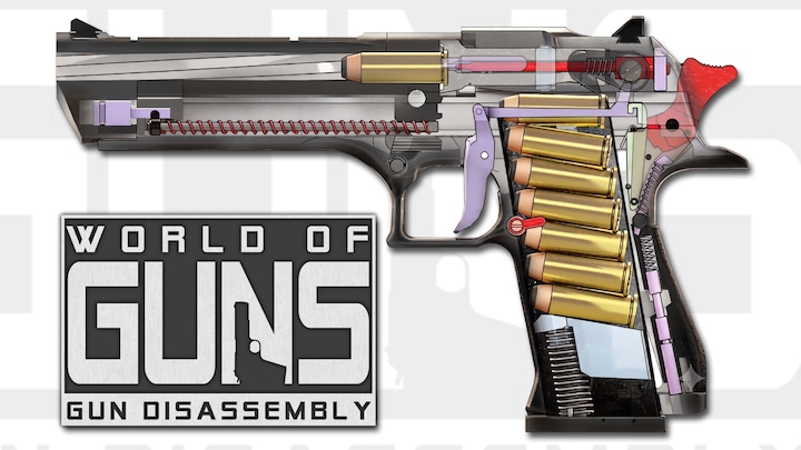 World of Guns: Gun Disassembly