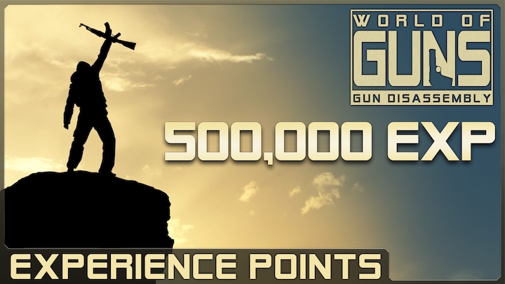 500,000 Experience Points